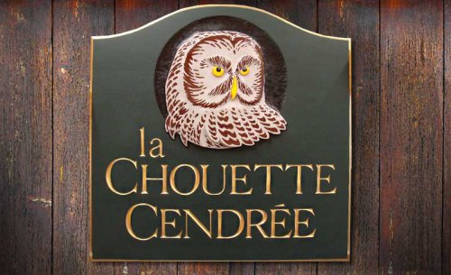 La chouette cendre