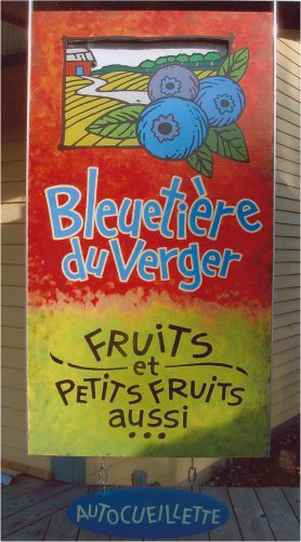 Bleuetire de verger